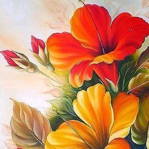 Meet your Posher, Ana patricia